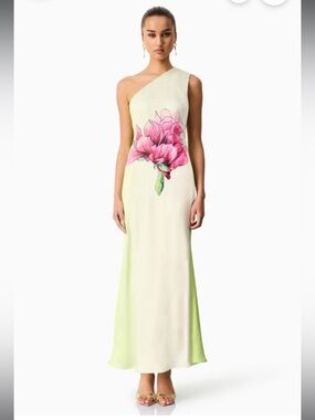 elliatt elisia green & pink floral print one shoulder maxi gown dress size XS